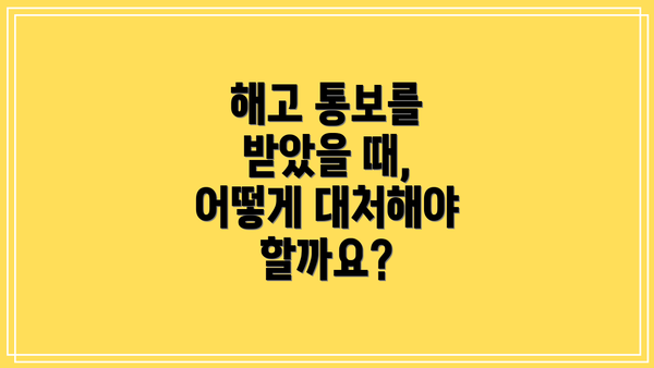 해고 통보를 받았을 때, 어떻게 대처해야 할까요?