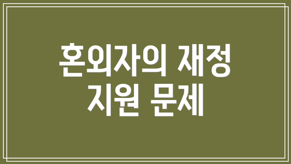 혼외자의 재정 지원 문제