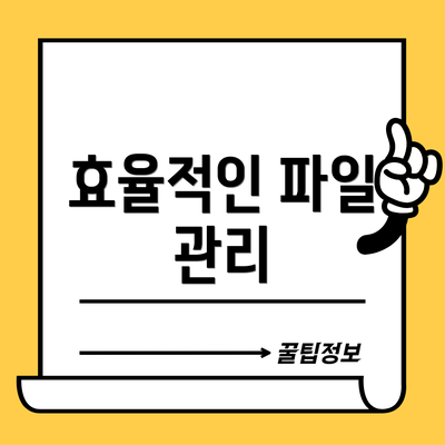 효율적인 파일 관리