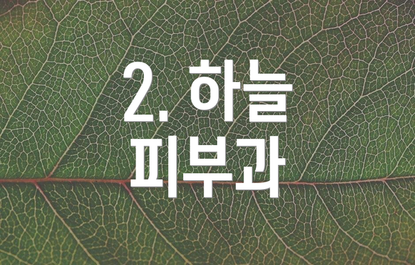 2. 하늘 피부과