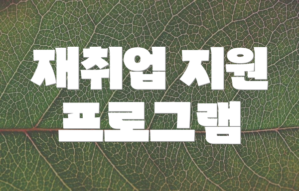 재취업 지원 프로그램