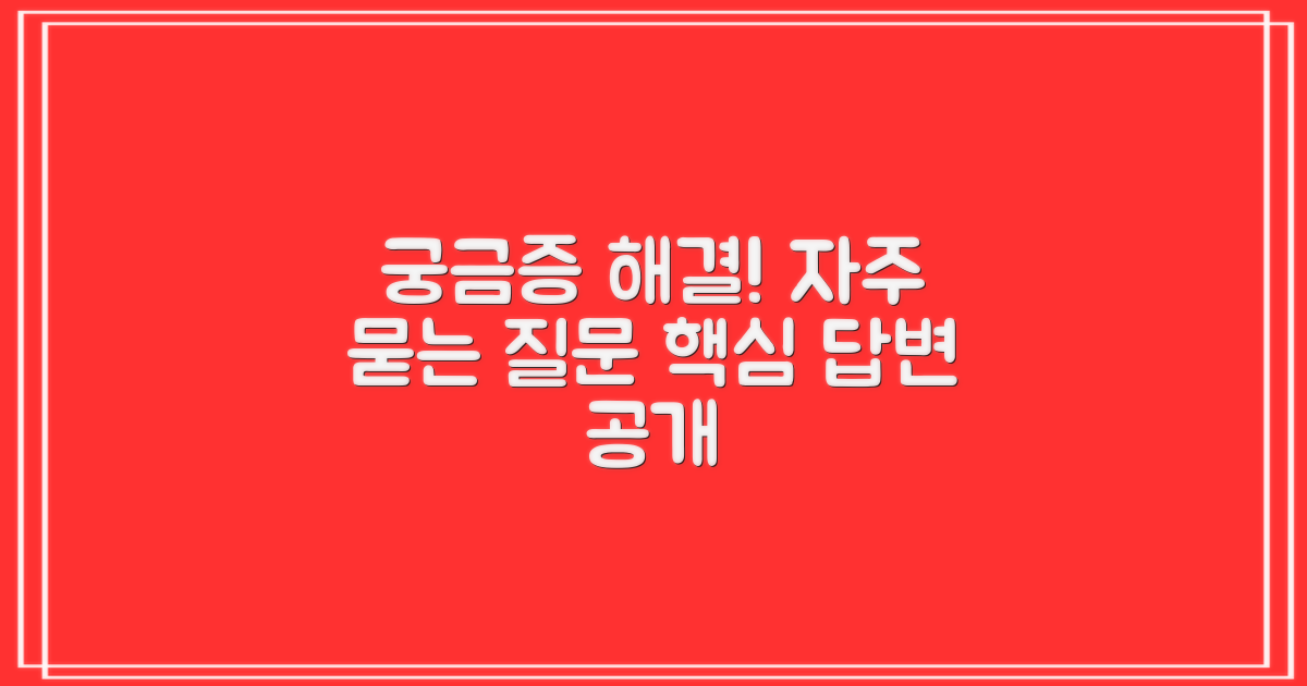 자주 묻는 질문