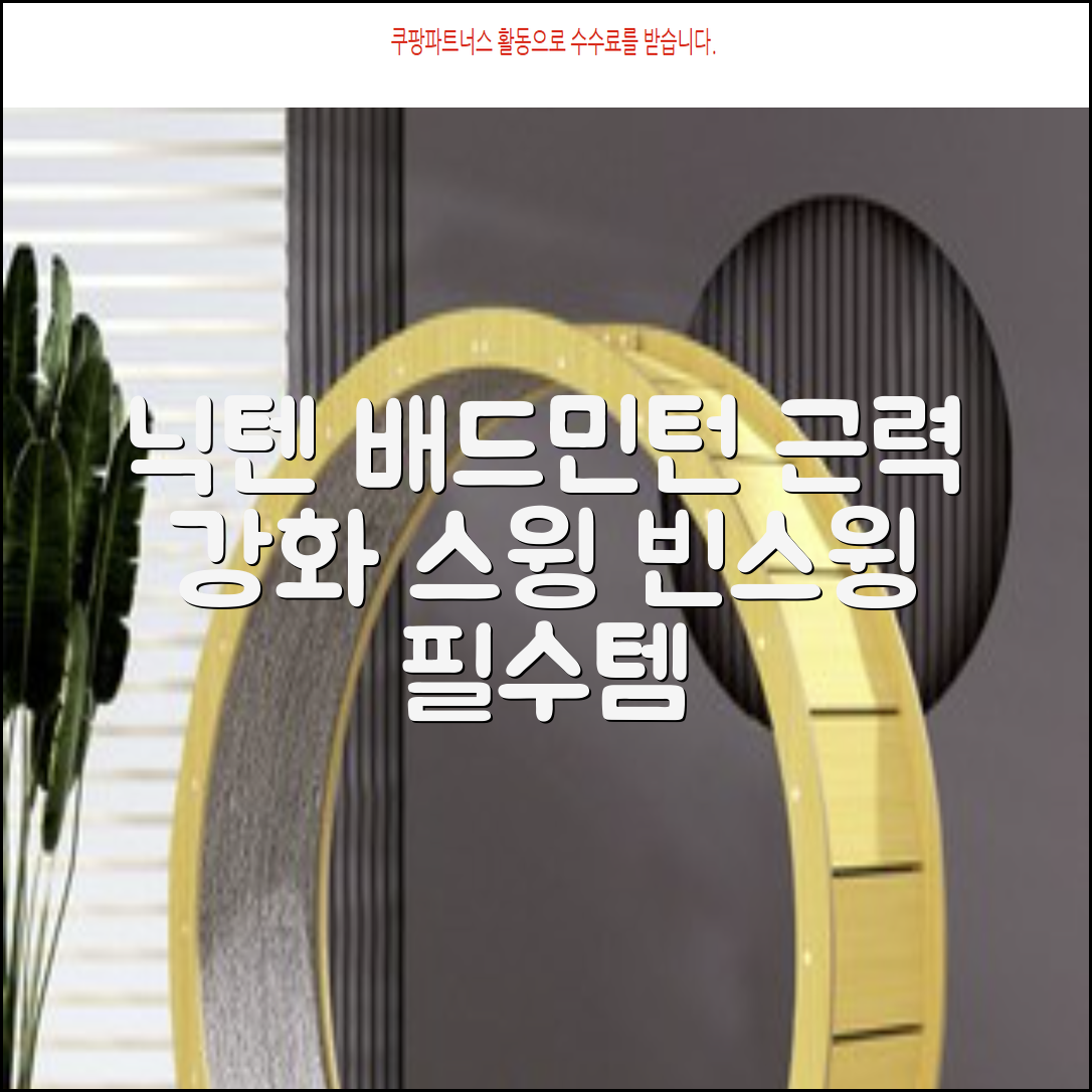 닉텐 배드민턴 스윙연습봉 - 근력강화 및 빈스윙연습, 1개, 스윙연습기 추천 리뷰