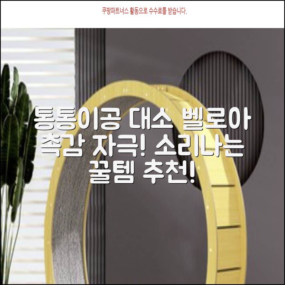 청양 통통이공大/小 소리나는 촉감자극공 벨로아 소재, 통통이공-대, 1개 추천 리뷰