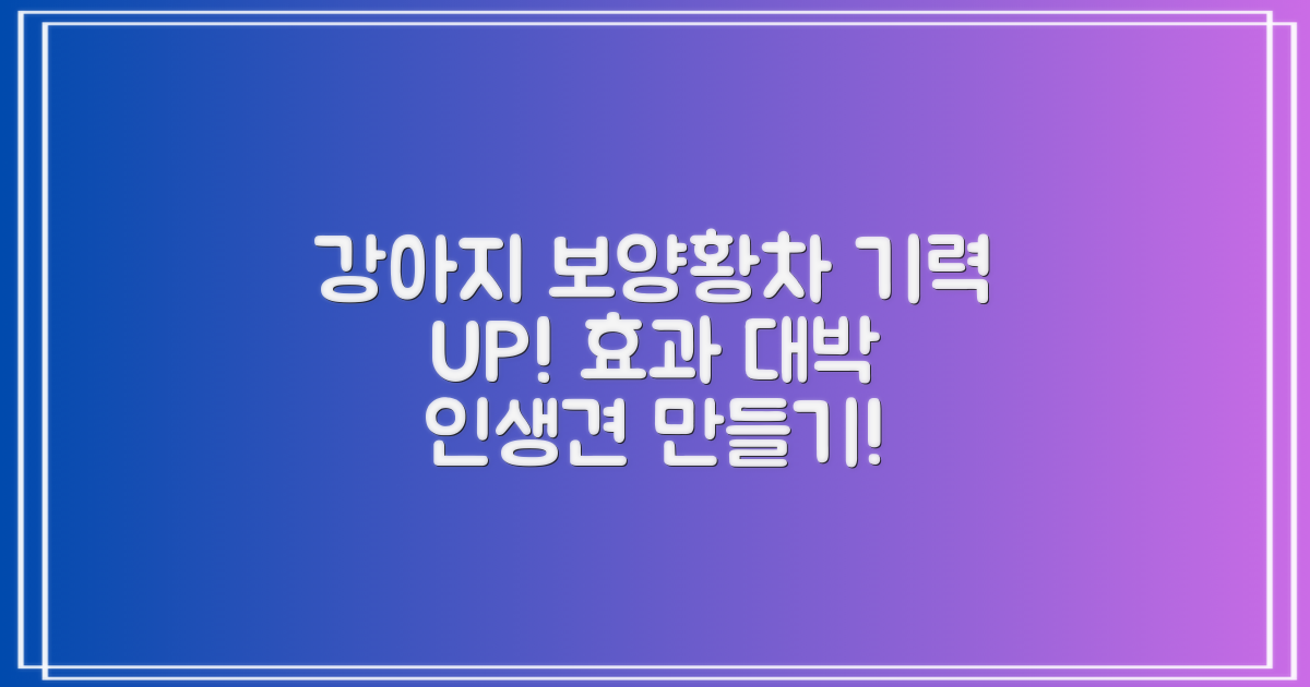 우리 강아지, 보양황차 후기